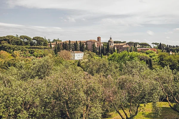 Zeytin ağaçları ile Roma — Stok fotoğraf