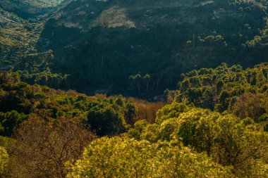 Rocky Vadisi ormanlarla kaplıydı. Sierra de Huma, Malaga, Endülüs, İspanya.