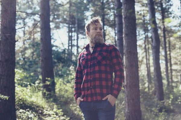 Man with beard in forest. — Stock Photo, Image