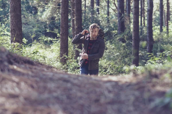 Homem caminhando na trilha da floresta . — Fotografia de Stock