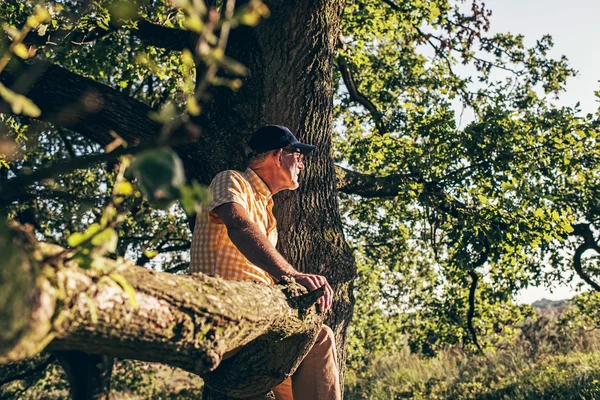 Homem sentado no ramo da árvore velha . — Fotografia de Stock