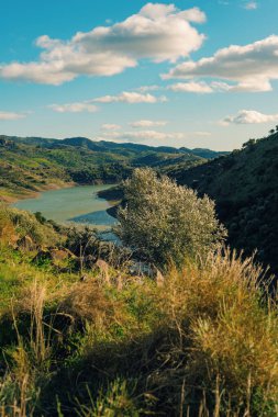 Tepe manzaralı bir yamaçta zeytin ağacı ve bulutlu mavi gökyüzünün altında bir göl. Malaga, Endülüs, İspanya.