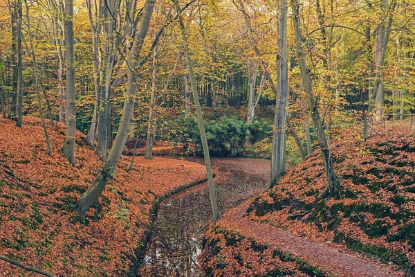 Hösten skogen med canal. — Stockfoto