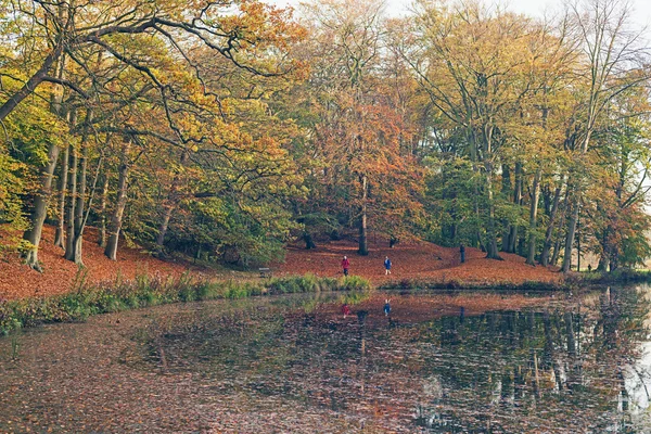 Taman dengan kolam dikelilingi — Stok Foto