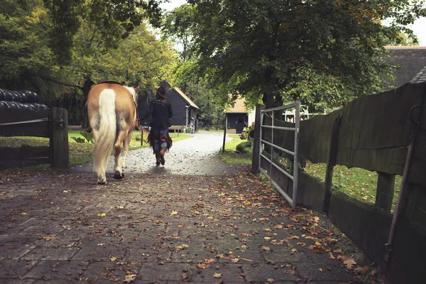 Woman walking with horse