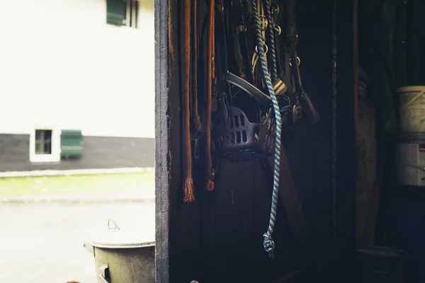 Trozos de caballo colgando en la puerta — Foto de Stock