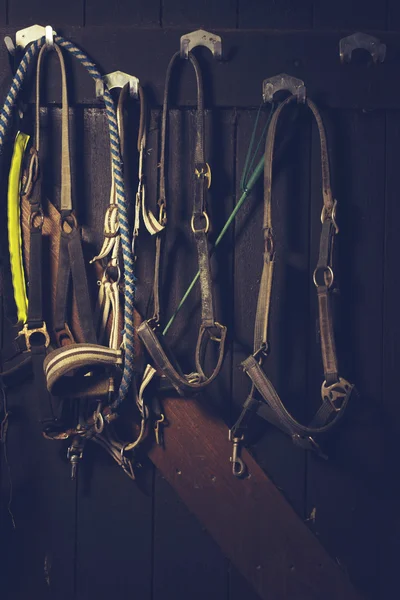 Horse bits hanging — Stock Photo, Image