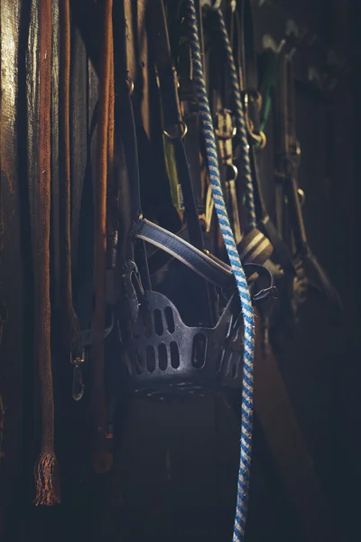 Horse bits hanging — Stock Photo, Image