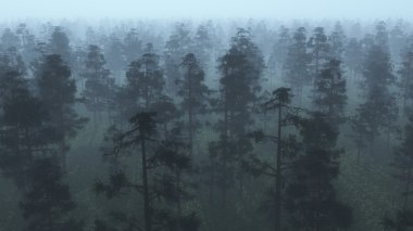 Hava puslu pinewood.
