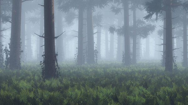 Trunks in foggy forest.