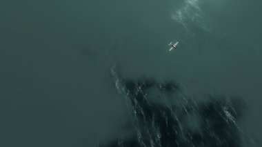 okyanus üzerinde uçan uçak