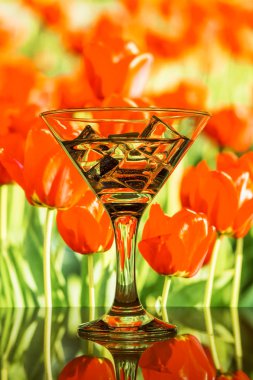 içki ve buz küp içine bir cam doğa arka planı