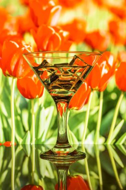 içki ve buz küp içine bir cam doğa arka planı