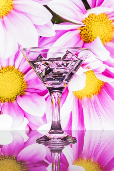 Drink and ice cube into a glass against the nature background — Stock Photo, Image