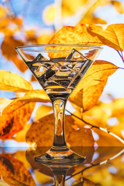 Drink and ice cube into a glass against the nature background — Stock Photo, Image