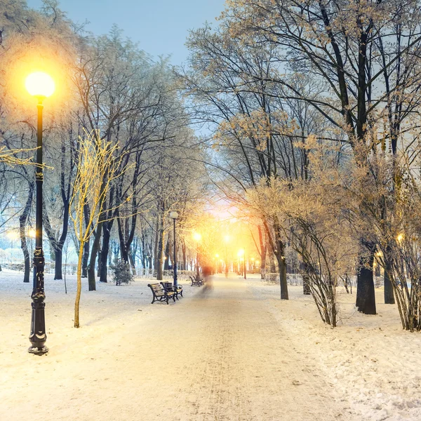 Пішохідна стежка в казковому зимовому міському парку — стокове фото