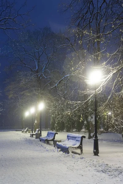 Passo Passo Fabuloso Parque Cidade Inverno — Fotografia de Stock