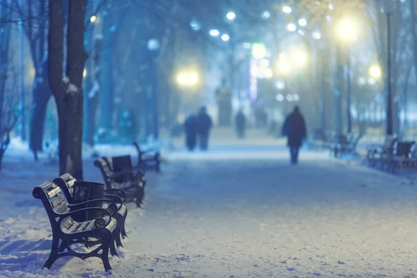 Wandelpad Een Prachtig Winter Stadspark — Stockfoto