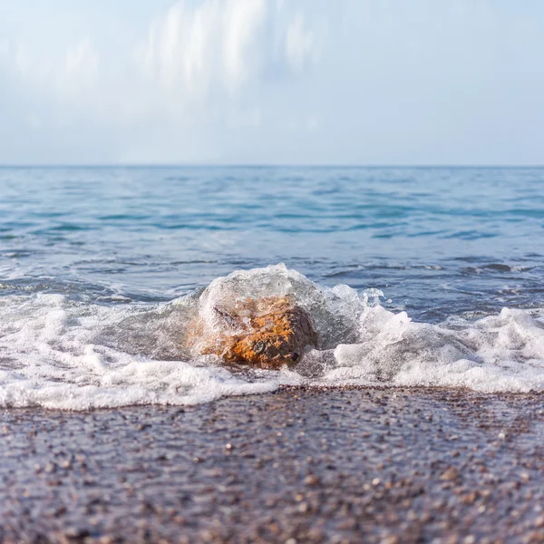 Мінімалістичний туманний морський пейзаж з камінням — стокове фото