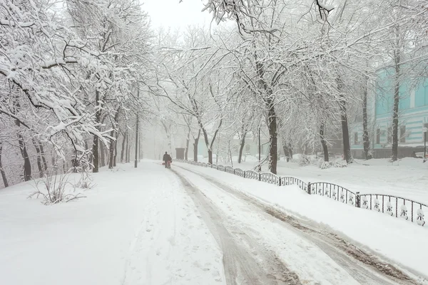 Зимний городской парк утром — стоковое фото