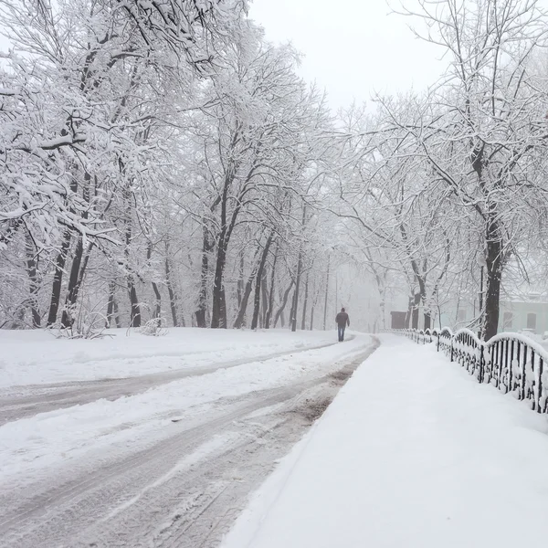 Parque de la ciudad de invierno por la mañana — Foto de Stock