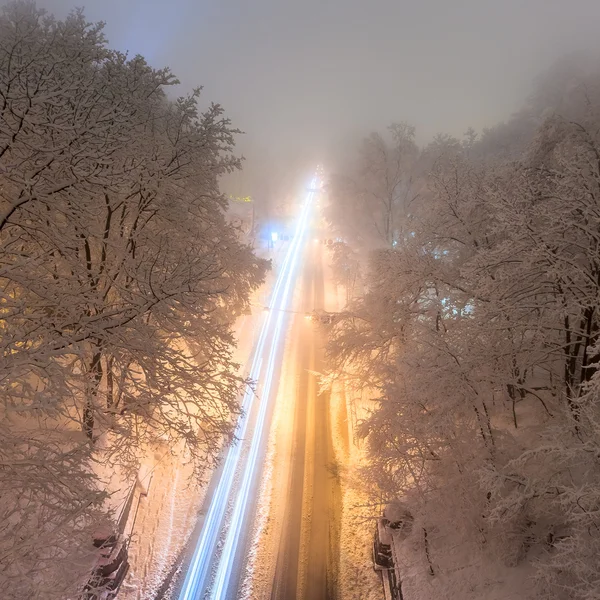 Зимний городской парк ночью. Остров, Украина — стоковое фото
