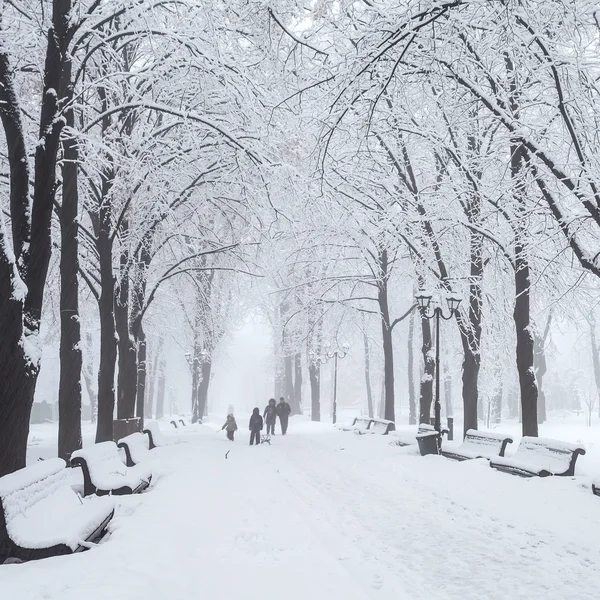 Winter stadspark in ochtend — Stockfoto