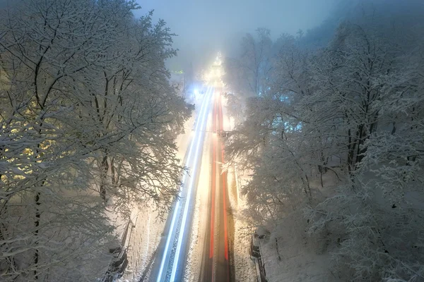 Zimní městský park v noci. Kyjev, Ukrajina — Stock fotografie