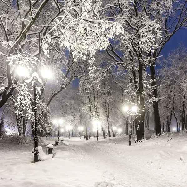 Inverno parque da cidade — Fotografia de Stock