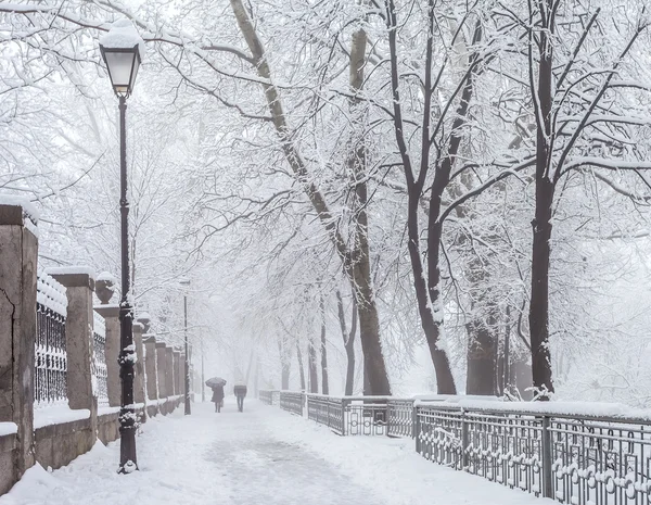 Zimowy park miejski w rano — Zdjęcie stockowe