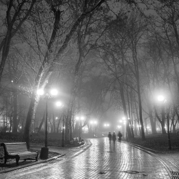 Autumn city park at night — Stock Photo, Image