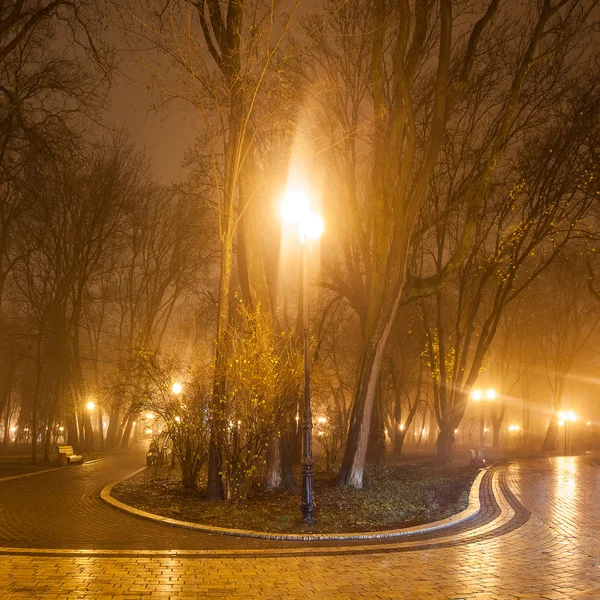 Herbst Stadtpark bei Nacht — Stockfoto