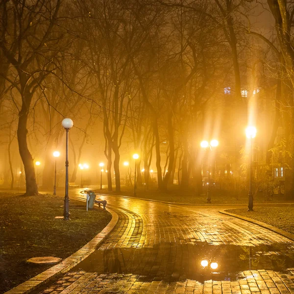 Jesień park miejski w nocy — Zdjęcie stockowe