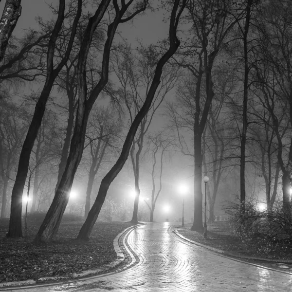 Parc de la ville d'automne la nuit — Photo