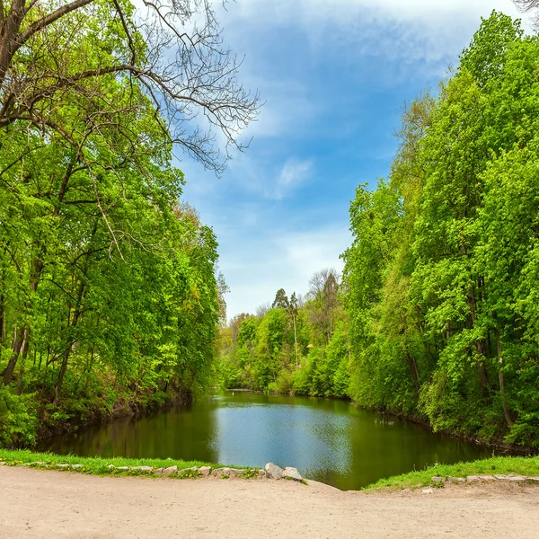 Sommar stadspark — Stockfoto