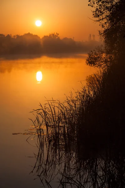 Krásný západ slunce u řeky — Stock fotografie