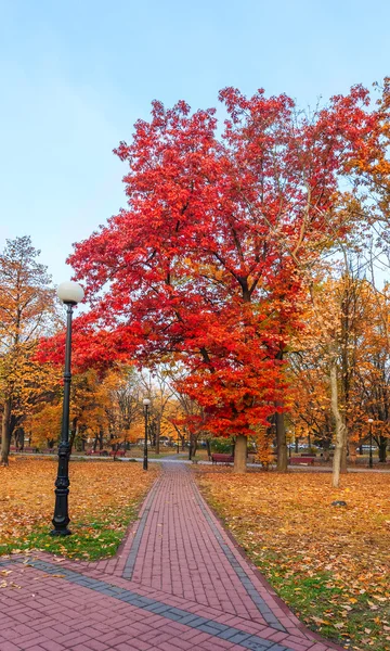 Parque de la ciudad de otoño — Foto de Stock