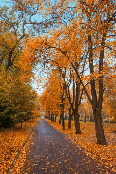 秋の都市公園 — ストック写真