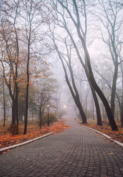 Foggy morning in city park — Stock Photo, Image