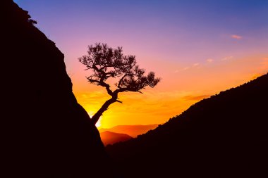 Dağlarda gün doğumu