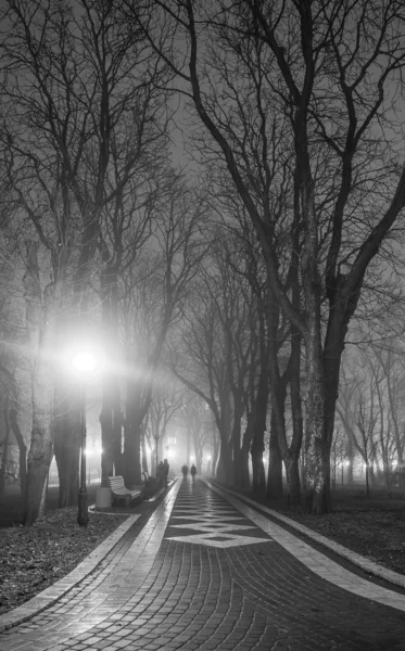 Проспект городского парка ночью — стоковое фото