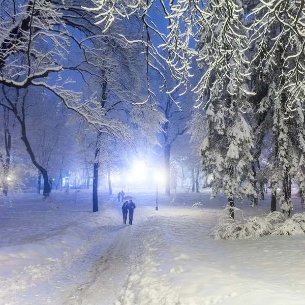 Inverno parque da cidade — Fotografia de Stock