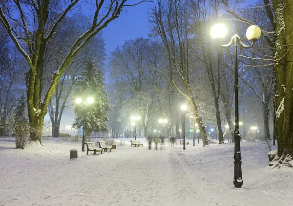 Passo a passo em um fabuloso parque da cidade de inverno — Fotografia de Stock