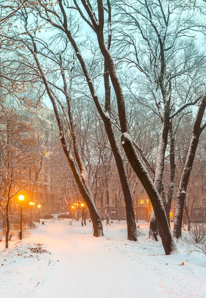 Sentiero in un favoloso parco cittadino invernale — Foto Stock