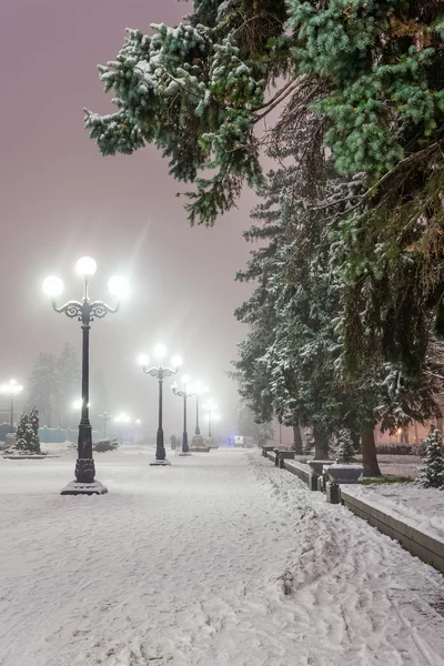 Тропа в сказочном зимнем городском парке — стоковое фото