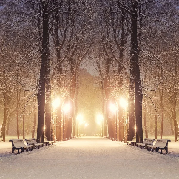 Sendero en un fabuloso parque de invierno de la ciudad — Foto de Stock