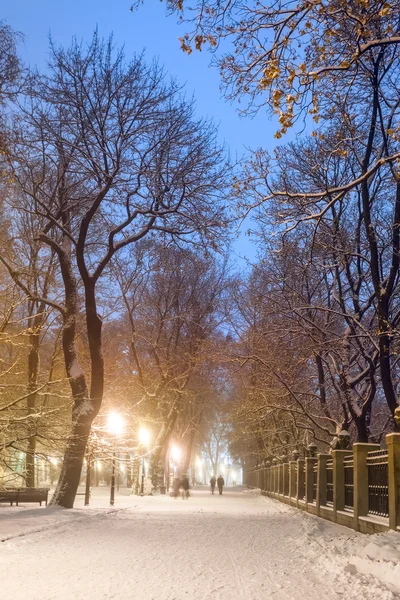 Jalan setapak di taman kota musim dingin yang menakjubkan — Stok Foto