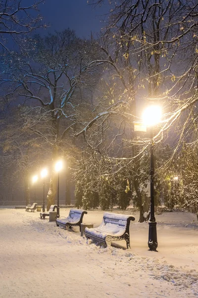 Fußweg im märchenhaften Winter-Stadtpark — Stockfoto