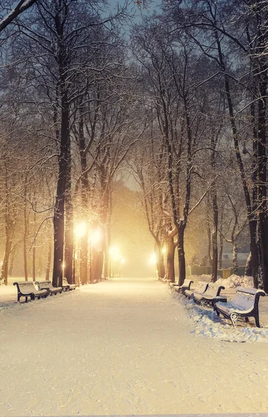 Sendero en un fabuloso parque de invierno de la ciudad —  Fotos de Stock