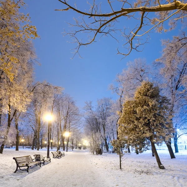 Muhteşem bir kış kenti parkında patika — Stok fotoğraf